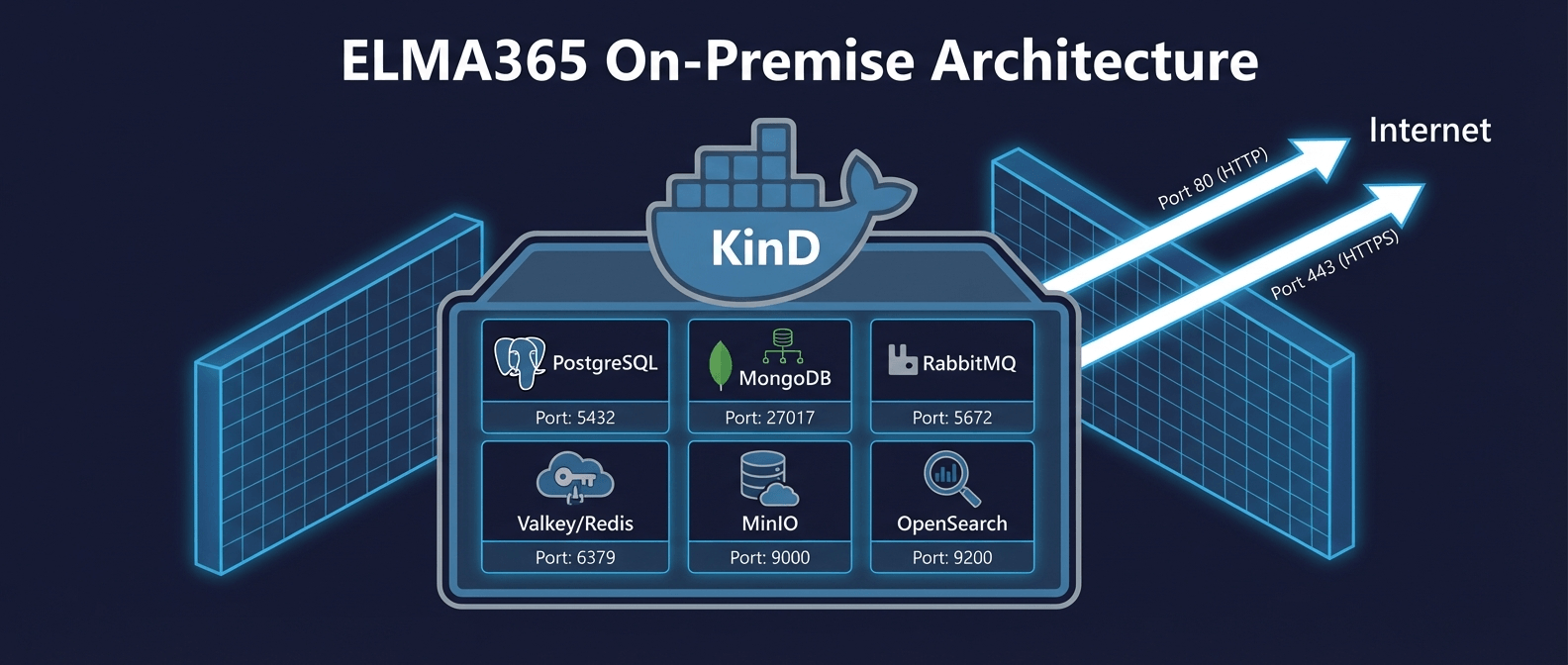 ELMA365 On-Premise: сетевые требования, порты и настройка реверс-прокси архитектура ELMA365 on-premise: Docker контейнер с KinD кластером, компоненты PostgreSQL MongoDB RabbitMQ Valkey MinIO OpenSearch, порты 80 и 443