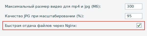 Галочка «Быстрая отдача файлов через Nginx» в настройках Главного модуля Битрикс24